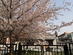 -西安青龙寺遗址景区