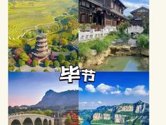 -西双版纳原始森林公园