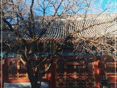 -香山公园