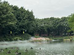 -广州长隆飞鸟乐园