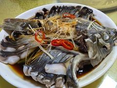 稀鳞硅鱼-煲来饱去冷水鱼