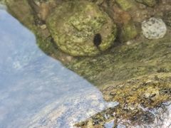 -石砭峪水库