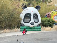 -西霞口神雕山野生动物世界