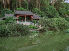 -广州神农草堂中医药博物馆