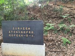 -马王堆汉墓遗址