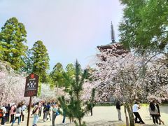 -醍醐寺
