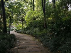 -成都市活水公园