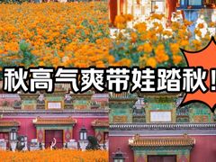 -北海公园