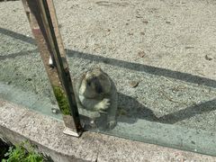 -哈尔滨北方森林动物园