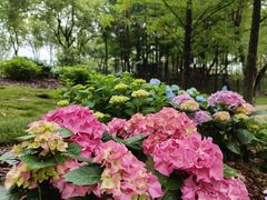 -武汉园博园(武汉自然博物馆)