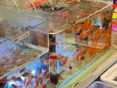 -永旺梦乐城(金银潭店)