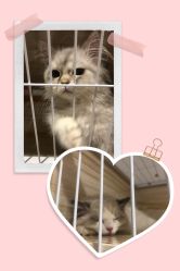 -Beauty Nails 美甲美睫皮肤管理