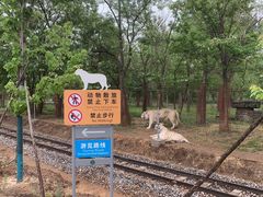 -秦皇岛野生动物园
