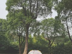 -宝界山林公园