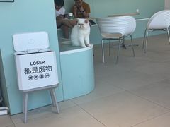 -怪兽屋·羊驼·猫咖·狗咖(俊华广场店)