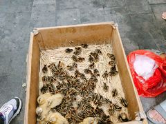 -绳金塔美食街(前进路店)