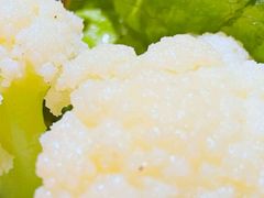 -樱宿日式和牛烧肉(五道口店)
