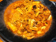 -红辣椒八爪鱼特色韩国料理