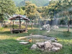 -西安秦岭野生动物园
