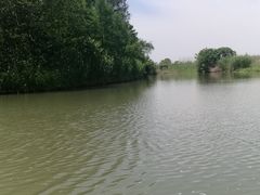 -同里国家湿地公园