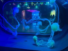-石家庄极地海洋世界