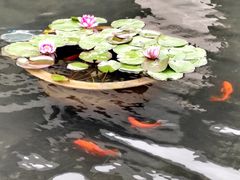 -东航云逸酒店(九溪烟树店)