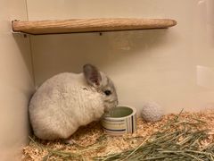 -龙猫仔乐园(惠福东路店)