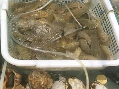-胖子饺子馆·海鲜家常菜(海军博物馆店)