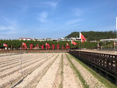 -毛泽东才溪乡调查旧址景区