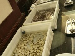 -三亚胜意海景酒店·海鲜自助餐厅(三亚湾路店)