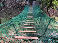 -鲁山国家森林公园