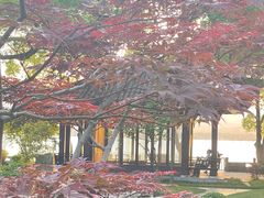 -杭州西湖柳莺里酒店·闻莺厅