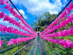 -浏阳石牛寨风景区