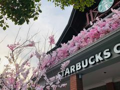 -星巴克臻选(思南公馆店)