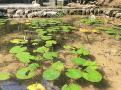 -车溪民俗旅游区