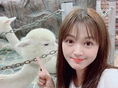 -上海大自然野生昆虫馆(东方明珠·爬宠昆虫探索中心)