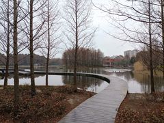 -上海长兴岛郊野公园