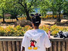 -西安秦岭野生动物园