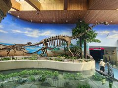 -延庆地质公园博物馆