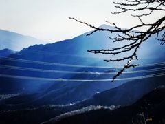 -北京鹫峰国家森林公园