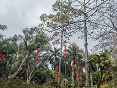 -广州市白云山风景名胜区