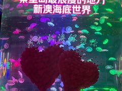 -秦皇岛新澳海底世界
