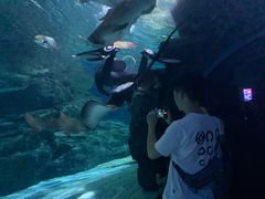 -暹罗海洋世界