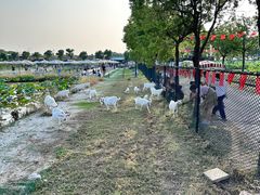 -嘉北郊野公园