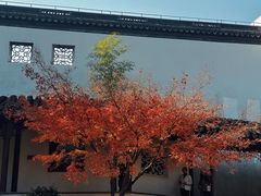 -秋霞圃