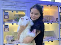 -小猫来了·猫舍(红山六九七九店)