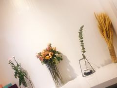 -夏叶茶(大光明店)