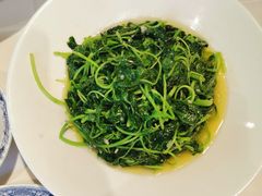 -席家花园(巨鹿花园店)