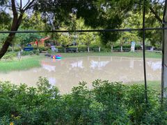 -紫颐香薰山谷景区