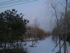 -东坝千亩湖公园